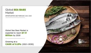 sea bass market