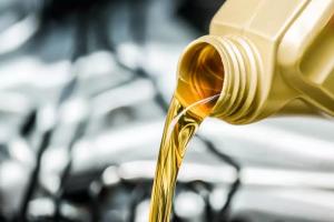 Refrigeration Oil Market Share
