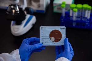 InTray GC, Biomed Diagnostics, DCN Dx, Neisseria gonorrhoeae, gonorrhea, IVD, culture diagnostics, public health