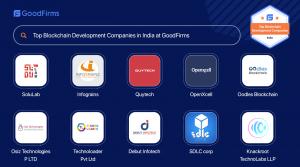 Blockchain Developers