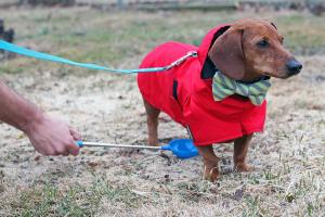 PawCheck® P-Scoop® Urine Collector distributed by ITL BioMedical