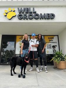 The Well Groomed Pets Orange County location received its first customer.