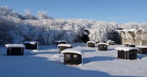 Permanent bee yards and outdoor wintering cuts down on fossil fuel and electricity consumption and is healthier for the bees