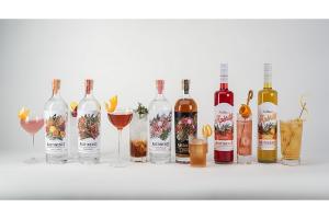 Non-Alcoholic Spirit