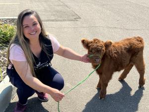 Oh My Dog Spa staff member holds lead for Micro Miniature Highland calf named Gigi belonging to Ranch By The Beech Canadas first fully operational Miniature Highland cattle ranch. The Micro Miniature Highland calf is wearing a bright green lead and is very tiny.