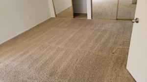 carpet cleaning in porter ranch
