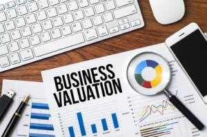 Business Valuation Service Market