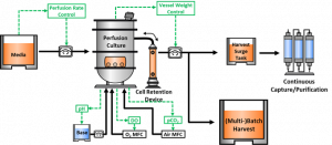 Continuous Manufacturing Market