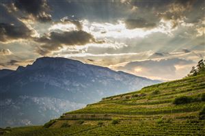 Scenic view overlooking the picturesque mountains and vineyards of Ferrari Trento