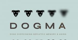 The DOGMA Initiative: Dogs Overcoming Geriatric Memory and Aging