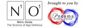 N1o1 logo