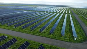 Aerial Image of Green Street Power Partners' 26 MW DC Westlands Almond Solar Project