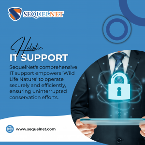 Holistic IT Support