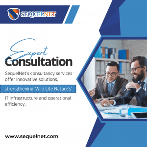 Expert Consultation