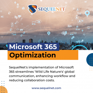 Microsoft 365 Optimization