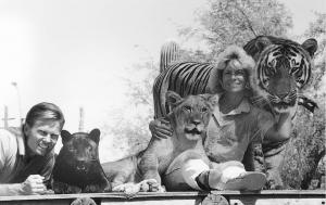 Dean and Praryie Harrison cuddle with some lions in a photo taken in the early 1990's at Out of Africa Wildlife Park, demonstrating the power of the bond between the keepers and their animals. 