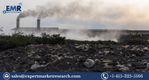 Waste to Energy (WTE) Market