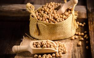 Soybean Derivatives Market
