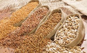 Oilseeds Market