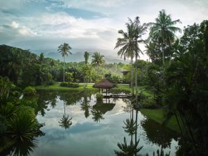 The Farm at San Benito Spearheads Halal and Wellness Tourism in the Philippines