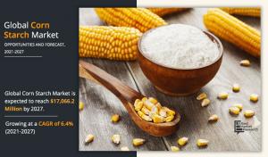 corn starch market