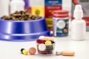 Pet Medication Market