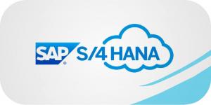 SAP S-4HANA Application Market