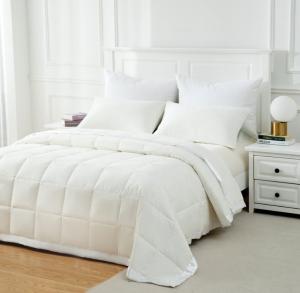 Queen size goose down duvet in MTL