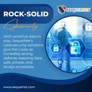 Rock-Solid Cybersecurity