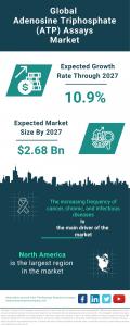 Adenosine Triphosphate (ATP) Assays Market Report 2023 – Market Size, Trends, And Global Forecast 2023-2027