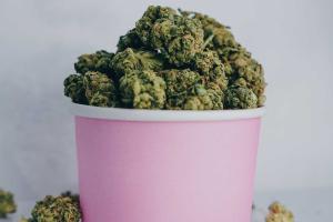 dried cannabis leaves in a pink container