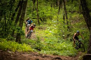 Some of the best mountain biking around