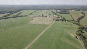 193.7 +/- Acres Divided Into 7 Parcels in Orange County, VA  3 BR/2 BA brick home w/basement -- Barns, shops/garages & other outbuildings -- 7 parcels (86 acres, 37 acres, 29 acres, 15 acres, 14 acres, 8 acres & 4 acres)