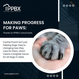 Making Progress For Paws