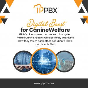 Digital Boost For Canine Welfare