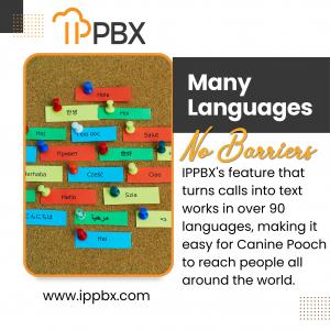 Many Languages No Barriers
