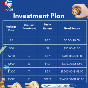 TopHash Investment plan