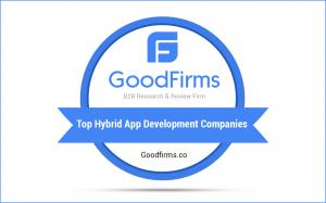 Top Hybrid App Development Companies