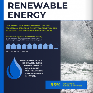 Renewable energy information in the Joyfully Grown Commitment Report