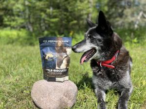 Project K-9 Hero Yoube waiting for a tasty Battle Biscuit.