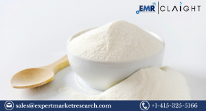 Whole Milk Powder Market