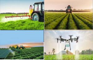 Agricultural Adjuvants Market Size