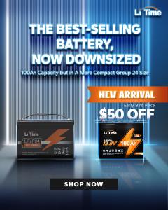 litime 12v 100ah group 24