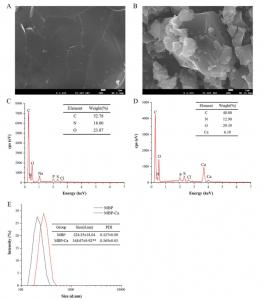 A Promising Alternative to Traditional Calcium Supplements