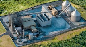 Biomass Electric Power Generation market