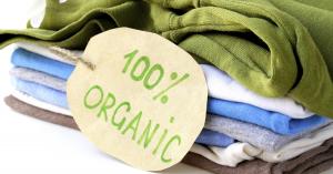 Sustainable Apparel Market