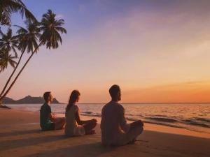 Wellness Tourism Market