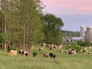 Elysian Fields via Organic Farmers Association