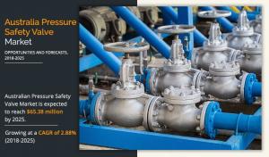 CAGR of 2.88% Australia Pressure Safety Valve Market Size, Growth Predicted to Hit .38 Mn by 2025