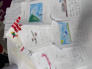 Birdfy and Students' Drawings